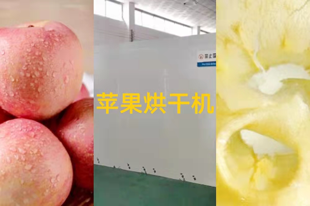 蘋(píng)果烘干機(jī)
